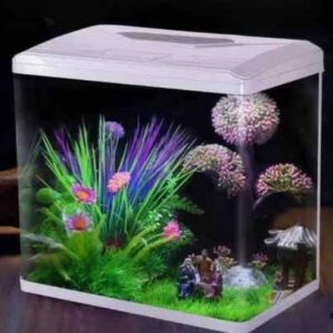 Acuario de Vidrio Curvo, c/ sistema de filtrado, 60x35x50.5