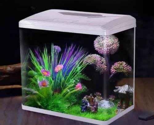 Acuario de Vidrio Curvo, c/ sistema de filtrado, 60x35x50.5