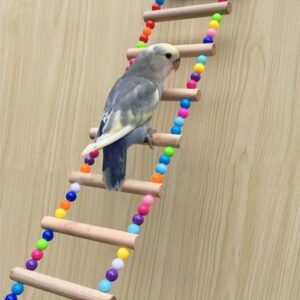 Escaleras de Cuentas de colores para Loros, 60 cm
