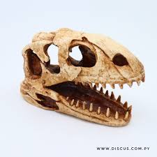 Cabeza de Dinosaurio de resina para Terrarios, Adorno de 15×5.5×11 cm