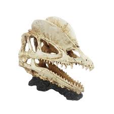 Cabeza de Dinosaurio de resina para Terrarios, Adorno de 17×7.5×14 cm