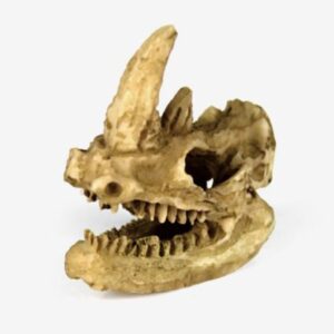 Cabeza Pequeña Adorno de Resina para Terrario, 4.3*5