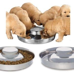 Comedero para Cachorros Acero Inox. 26 cm