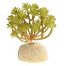 Planta Falsa 11 cm
