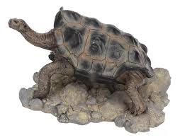 Tortuga de Galápagos de resina para Terrarios, Adorno de 18.5×8.5×10 cm