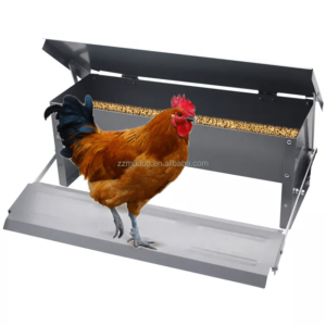Comedero Automatico Galvanizado para Pollos, 5 kilos